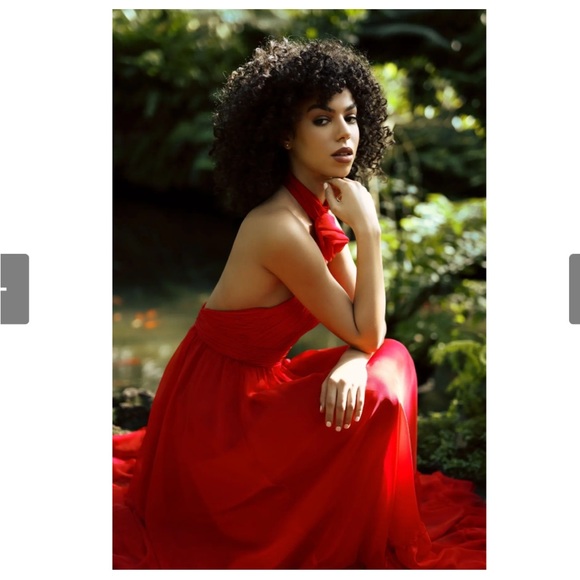 Mac Duggal Asymmetrical Halter Neck Gown in Red Chiffon - Picture 6 of 10